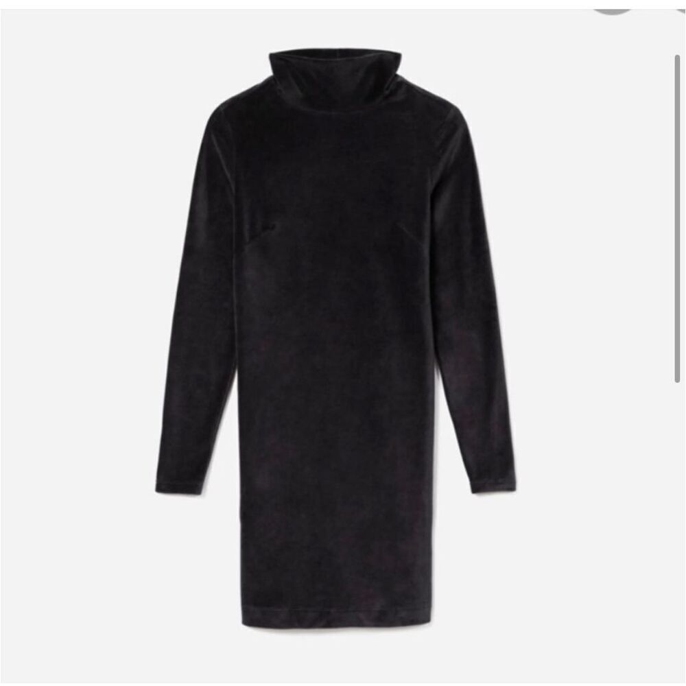 Everlane Black The‎ Velour Mock Neck Long Sleeve Mini Dress